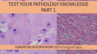 Test Your Pathology Knowledge, Part 1