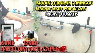 MUDIK‼️ SIAPKAN IRIGASI TETES OTOMATIS  POHON #anggur | cara setting timer otomatis irigasi tetes