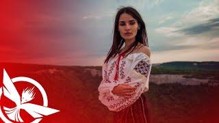 Mix Folclor Romanesc 2024 Muzica Romaneasca de Petrecere  Romanian Music Party by Zeno Music