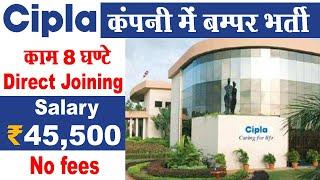 Cipla Recruitment 2024 Apply Online | Cipla Company Job Vacancy 2024 | Private Job Vacancy 2024