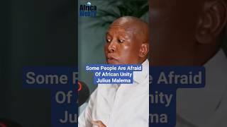 Some People Are Afraid Of African Unity | Julius Malema