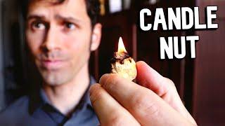 This NUT can be used as a CANDLE and so much MORE - The Incredible Candlenut