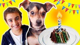 MİRA ' nın KÖPEĞİ 1 YAŞINDA  | Doğum günü Pastası