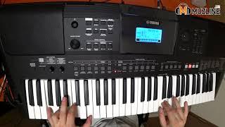Автоаккомпанемент на синтезаторе. Видеоурок на Yamaha PSR-E463, Video tutorial