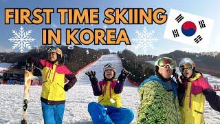 South Korea Travel Guide: First time skiing in Korea (Vivaldi Park Ski World) ️️| kriserika