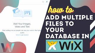 How To Add Multiple Files To Your Database in Wix | Wix Training Tutorial 2020