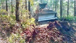 DOZER "New Chapter" in Road Work in the Forest #caterpillar #dozer #bulldozer #komatsu #liebherr