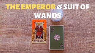 THE EMPEROR & BỘ GẬY (SUIT OF WANDS) - Kết Hợp 2 Lá