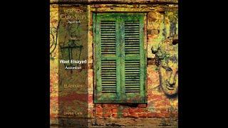 El Anfoushi - Cairo Steps feat. Wael El Sayed | Diwan Cafe