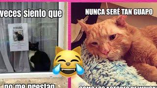 Poniéndole VOCES a MEMES de GATOS!! // Adry y sus DivertiCats