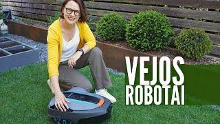 Vejos robotas: atsakome į dažniausiai kylančius klausimus