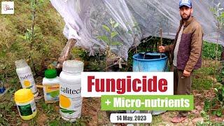 Fungicide and Micronutrients | Merivon + Calitech | Benefits Explained | 14th May