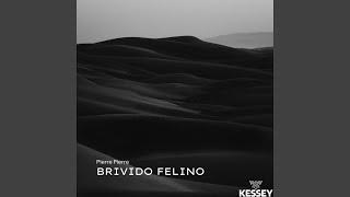 Brivido Felino