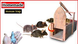 Homemade rat/mouse trap |kharkhep ကြွက်ထောင်နည်း