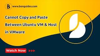 How to Fix Cannot Copy and Paste Between Ubuntu Desktop VM and Host in VMware
