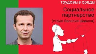 Социальное партнерство. Видео-лекция