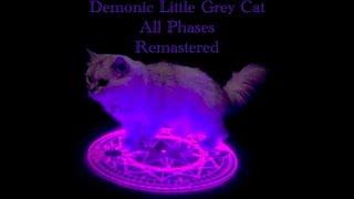 Demonic Little Grey Cat | All Phases | Enhanced | Remastered