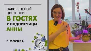 В гостях у подписчицы Анны. Москва | Радуга из каланхое, орхидеи, суккуленты и другие питомцы