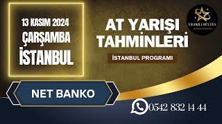 13 Kasım 2024 Çarşamba İstanbul At Yarışı Tahminleri