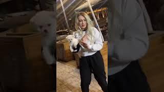 Sex videolar Niginadan uyatsiz videolar 2021 #Nigina #Nigarem #Pamaus #Parizoda #Trend #TikTok #Uzb