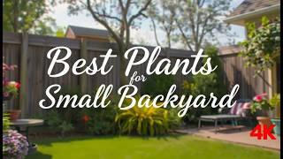 Best Plants for Small Backyard Spaces | Space-Saving Garden Ideas