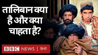 Taliban कौन हैं, उनका इतिहास क्या है और आख़िर वो क्या चाहते हैं? (BBC Hindi)