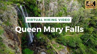 Virtual Hiking Video | Walking on Treadmill | 30 Min Virtual Hike | Queen Mary Falls