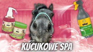 KUCYKOWE SPA BEZIKA Z EFFOLEM 