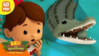 RUN! THE CROCODILE IS COMING! | FEROCIOUS ANIMALS! | Leo the Wildlife Rangers | Kids Cartoon