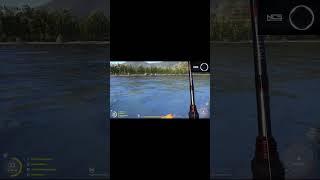 Трофей ленок #shorts #русскаярыбалка4 #russianfishing4 Подписывайся на канал!)