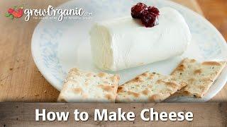 How to Make Organic Cheese at Home