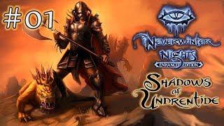 Neverwinter Nights - Enhanced Edition: Shadows of Undrentide   (Серия 01)   Вершина