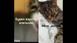 #поржать #прикол #ржака #аааа #будем #жарить #беларусь #апельсин