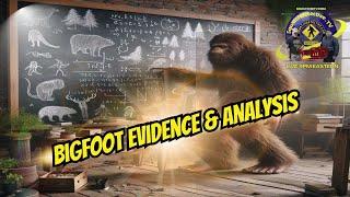 Bigfoot Evidence and Analysis [Squatch-D TV Ep. 171]