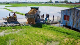 Start Opening New Project!! Komat'su Dozer D20A & 5T Truck pushing soil into flooded in backyard