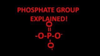 Phosphate functional group explained!