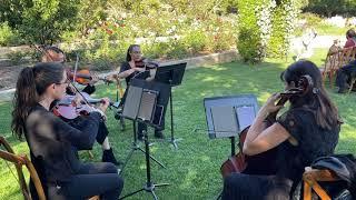 Los Angeles String Quartet - Los Angeles Wedding Violin - Jason Sulkin Music - Stand By Me