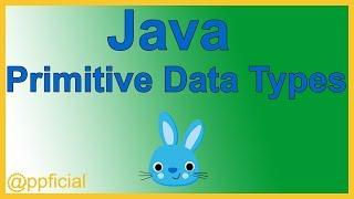 Java Primitive Data Types - byte short int long float double char and boolean - Java Tutorial