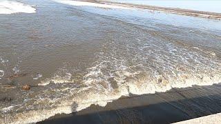 Костанай, река Тобол ,сброс воды, обстановка на 5 апреля