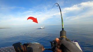 DUARRR..!!! UL casting fishing was immediately shocked to get a strike this big || HFB 189