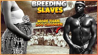 Breeding Slaves - The Hidden Secret