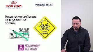 Беленсон М. М. - Всё, что следует знать о сахарном диабете владельцам собак и кошек.