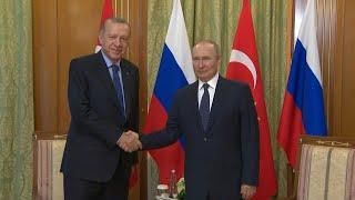 Russian President Putin hosts Turkish President Erdogan in Sochi | AFP