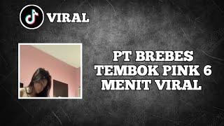 Pt Brebes Tembok Pink 6 Menit Viral Tiktok