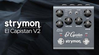 Strymon El Capistan V2 Sound Demo (no talking) with Twisted Electrons MEGAfm Synthesizer