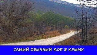 САМЫЙ ОБЫЧНЫЙ КОП В КРЫМУ