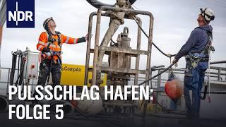 Zwischen Stahl und Wasser (E05) | Pulsschlag Hafen | NDR Doku