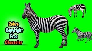 Zebra Green Screen Video No Copyright  / Pg 1 Tech / Zebra Carecter Pose / Zebra