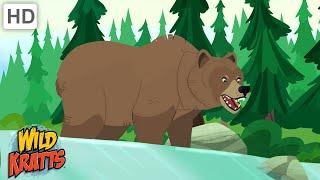 Wild Kratts | Bears Around the World | Black Bears, Grizzly Bears, Polar Bears and Panda Bears