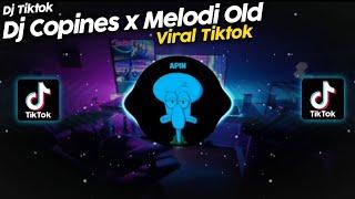 DJ COPINES POTA POTA x MELODI OLD VIRAL TIK TOK TERBARU 2022 - VINKY YT